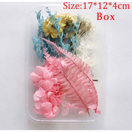 New 1Box Real Dried Flower Dry Plants For Aromatherapy Candle Epoxy Resin Pendant Necklace Jewelry DIY Making Crafts Accessories