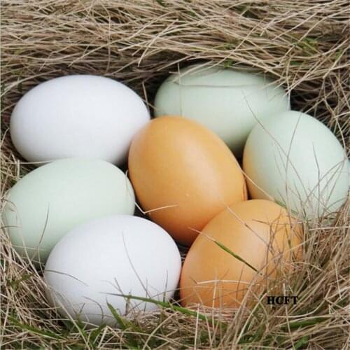 Simulation food props kids children toys Kitchen dining room hotel restaurant store shop decoration fake chicken eggs model