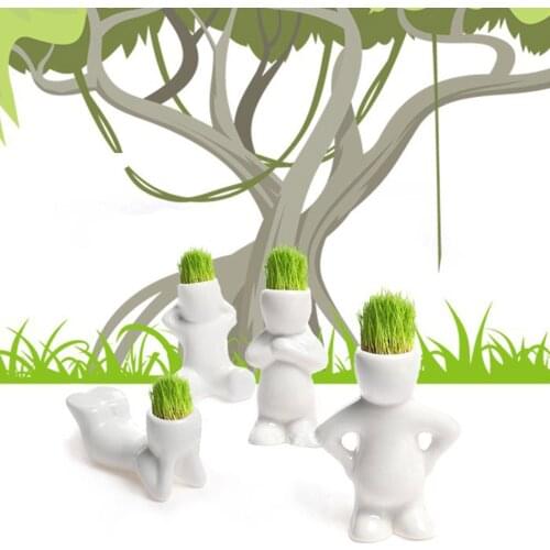 IN STOCK Mini Bonsai Head Grass Hair White Ceramic Plant Garden,Tree Doll Grass Pot New Novel Bonsai Head Grass Doll