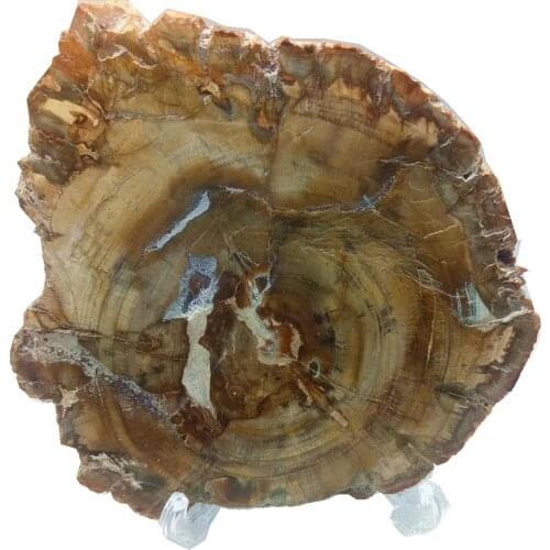 9-11cm woodstone Slices Coasters xylopal Beverages Cup Mat with free bracket healing wooden fossil slice Table decoration