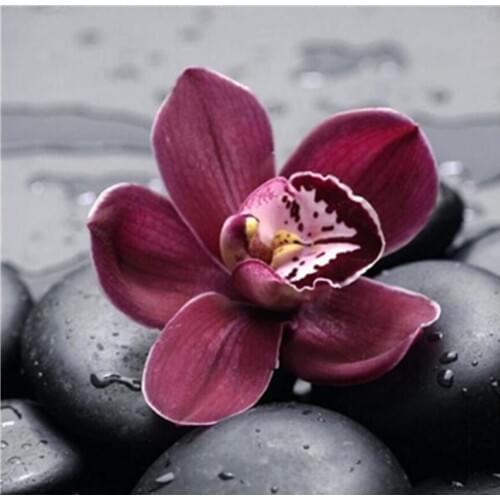 Painting By Numbers DIY Dropshipping Big size Small flowers on the stone Flower Acrylic House Decoration Art picture Gift