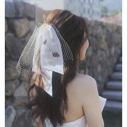 Korean style Wedding Veil Short Tulle Bridal Veils Ivory Beaded Flowers Bride Veils Wedding Accessories