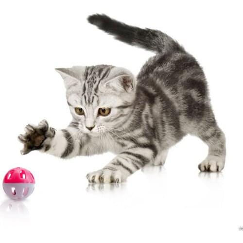 Ball Toy Jingle Bell Inside Kitten Cat Toys Cat Interactive Pet Rattle Supplies for Household Animals Cats Entertainment