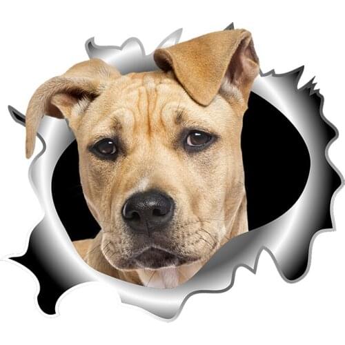 Three Ratels C518 Vizsla 3D Dogs car sticker wall stickers for bathroom Refrigerator sticker laptop creative Decal