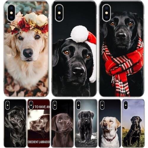 Labrador Retriever Labs Case For iPhone 12 11 Pro 7 6 X 8 6S Plus XS MAX + XR 5S SE 10 Ten Art TPU Cover Phone Coque Capa Shell