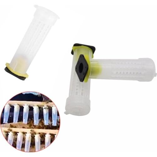 100PCS Beekeeping queen cage rearing protective cover catcher plastic bees box cages bees tool equipement supplies wholesale