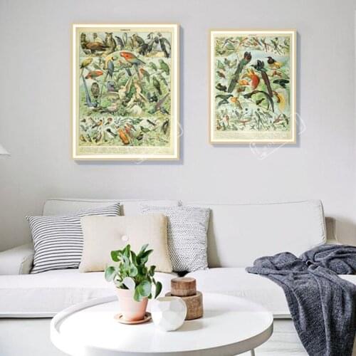 Vintage Birds Watercolor Collection Encyclopedias Illustration Retro Poster Canvas DIY Wall Paper Posters Home Decor Gift