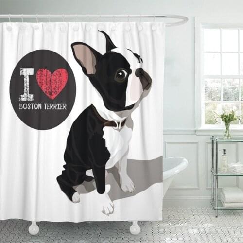 Cute Closeup Portrait of The Domestic Dog Boston Terrier Shower Curtains Waterproof Polyester Fabric 72 x 78 inches with Hooks