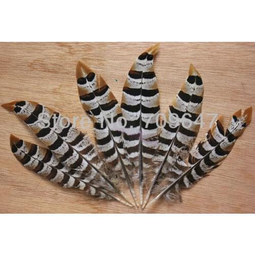 Fly tying materials! 50Pcs/Lot 10-13cm REEVES VENERY PHEASANT WING FEATHERS,Loose Reeves Pheasant Feathers for Jewelry Making