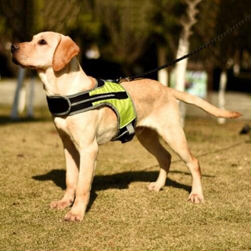 4 Colors Dog K-shaped Luminous Harness Nylon Pet Safety LED Harness Flashing Light Harness for Medium and Large Dog Supplies