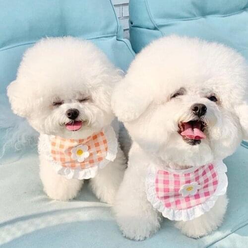 Ins Creative Cute Hot Plaid Flower Pet Collar Scarf, Dog Saliva Towel, Cat Puppy Bib Bib, Pet Fashion Decoration Supplies