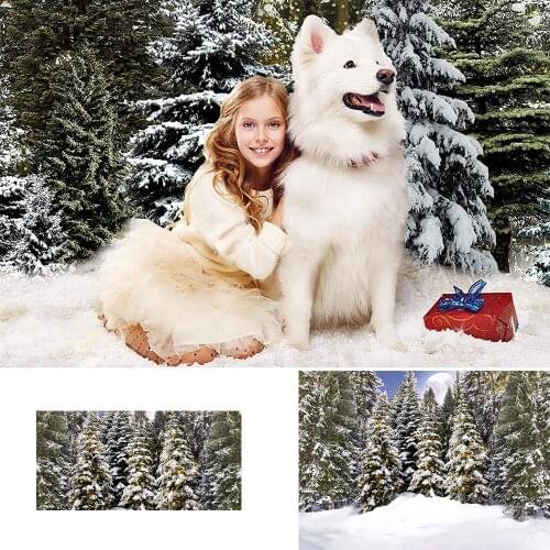 Christmas Party Backdrop Decorations Winter Snow Outdoor Portrait Background Photography Christmas Trees White Door Wreath Photo