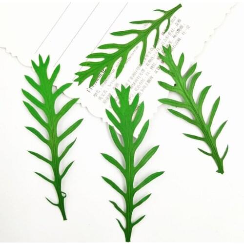 100pcs,Pressed Dry Flower,Nature crown daisy for DIY Craft Bookmark Gift Card Ornaments,Flores secas Jewelry Facial Decoration