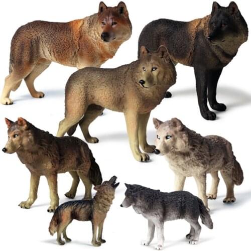 Forest Wild Animal Grey Wolf Figure Science Educational Model Adult Kids Collection Toys PVC Education Gift Home Decor