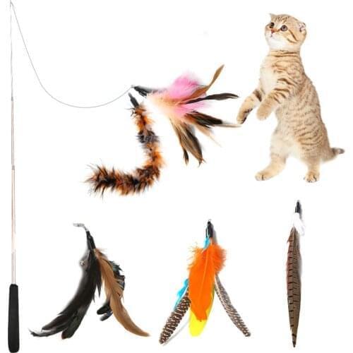 100pcs Pet Cat Toy Fishing Rod Retractable Feathers Funny Cat Pole with Five Replacement Head Pet Interactive Toys