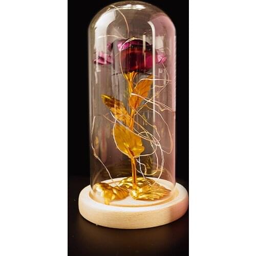 Home Decor Glass Cover Internal Rose DIY Decoration Lamp Romantic LED Small Night Light Valentines Day Gift for Girlfriend