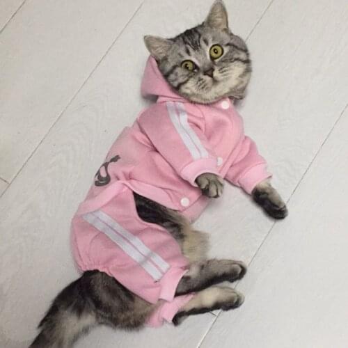 Fashion Cat Clothes For Cats Winter Warm Cotton Cat Clothing For Pets Kitten Outfit Kedi Gatto Hooded Coat Jackets Pets Products