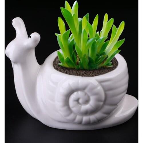 2021 New Snails Ceramic Flower Pot Succulent Plant Flowerpot Planter Desktop Home Office DIY Decor