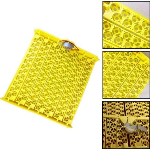 HOT 154 Pcs Quail Parrot Pigeon Small Bird Snake Hatcher Automatic Turn Plastic Incubator Trays with Turning Motor