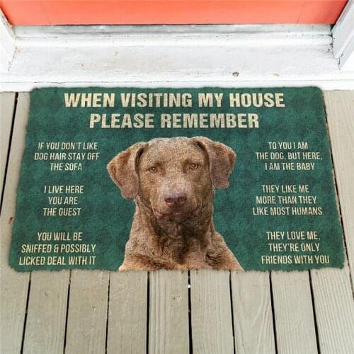 Please Remember Chesapeake Bay Retriever Dogs Doormat Decor Print Carpet Soft Flannel Non-Slip Doormat for Bedroom Porch
