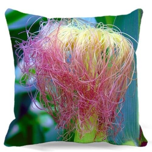 Soft Square Pillows case Cotton polyester Home car sofa Decorative Throw Cushion cover Corn silk pink yellow