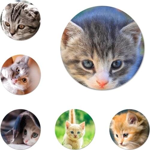 Funny Kitten Cat Icons Pins Badge Decoration Brooches Metal Badges For Clothes Backpack Decoration