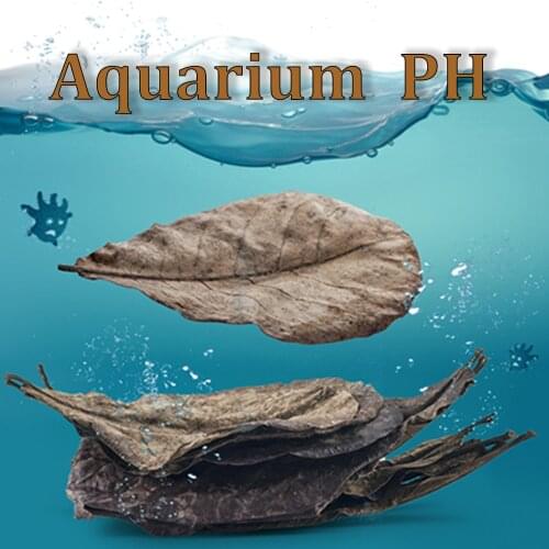 Petcloud Natural Terminalia Catappa Leaves Aquarium Water Treatment Balance PH Acidity Almond Leaves Fish Tank Cleaning Tools