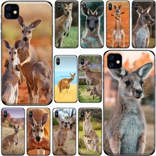Kangaroo Australias national treasure Phone Case for iPhone 11 12 mini pro XS MAX 8 7 6 6S Plus X 5S SE 2020 XR Luxury shell