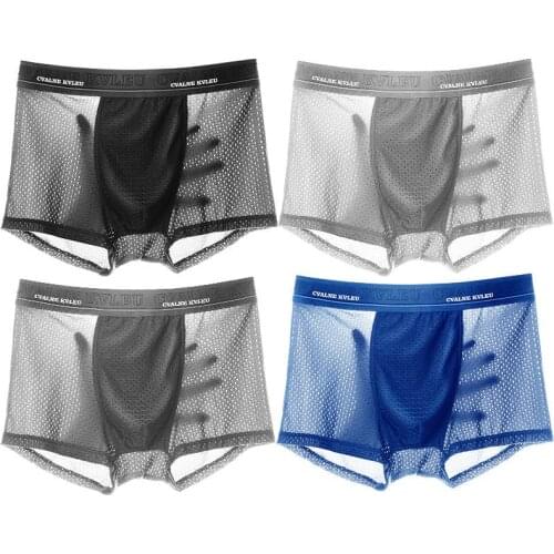 4PMen Ice Silk Underwear Transparent Boxer Breathable Solid Color Ultra Thin Transparent Quick Drying Sexy Silk Boxer Men L-4XL