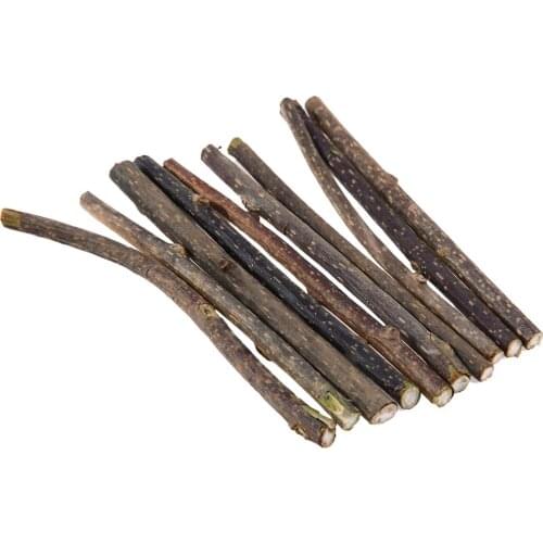 20pcs Natural Catnip Stick Cat Cleaning Teeth Molar Toothpaste Stick Silvervine Actinidia Fruit Cat Snacks Sticks Pet Supplies