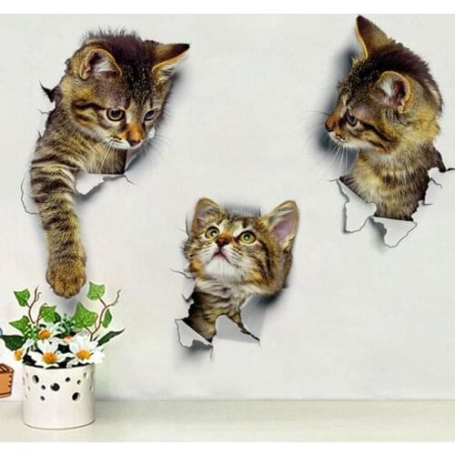 Studyset 3d Wall Stickers