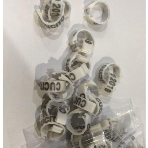 200 pieces/lot free shipping pigeon leg feet ring bands for 2021 free color ring with name phone mark