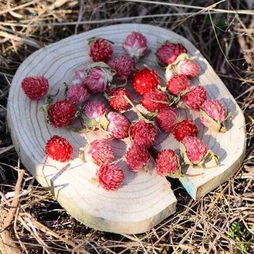 100pcs,Natural Dried Gomphrena flower head,Handpicked Eternell rose for wedding party Decoration,Flower arrangement glass cover