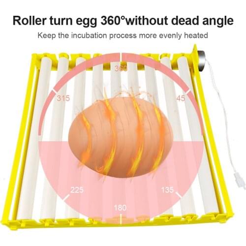 1 Set New Egg Tray Automatic turn eggs Chicken Duck Quail Goose Bird Poultry Eggs Tray Farm Incubation Tools Supplies sales