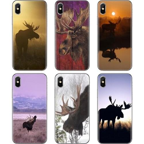 Phone Soft Case For iPhone iPod Touch 11 12 Pro 4 4S 5 5S SE 5C 6 6S 7 8 X XR XS Plus Max 2020 Animal Alaska Bull Moose