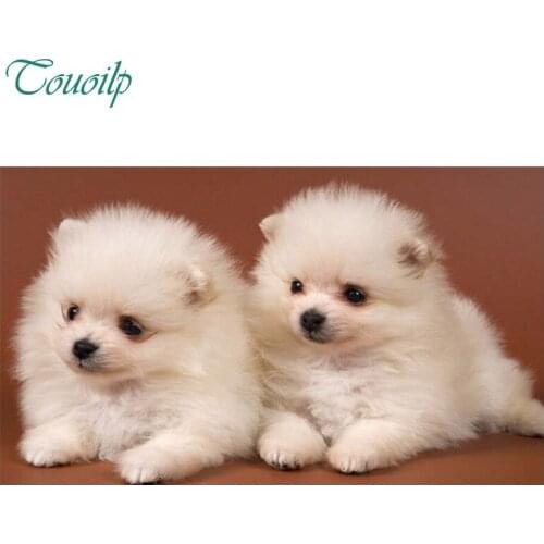 New Diamond Painting Animal Dog Twins Needlework 5d Full Drill Square Rhinestones Mosaic Diamond Embroidery Craft Accessories