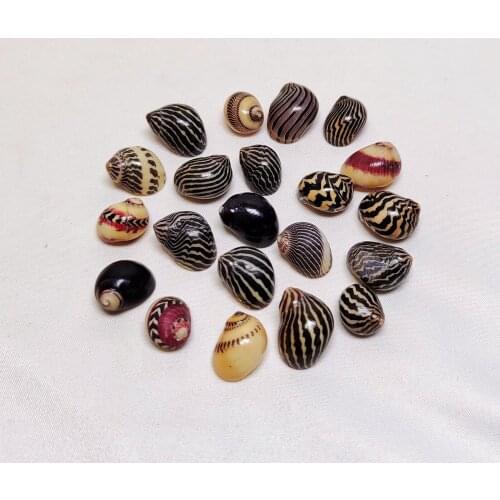 10/ 20pcs colorful snails childrens toys gifts colorful home decoration