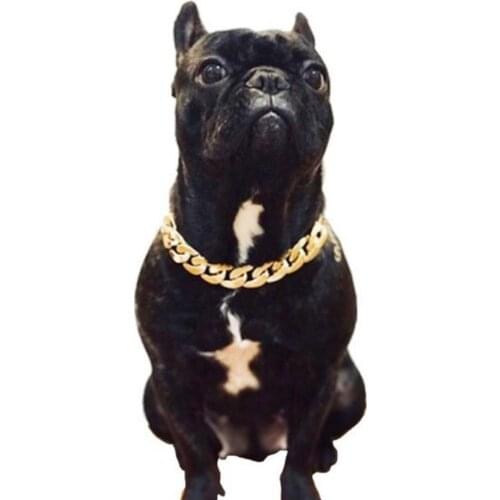 Первый питомец KITPIPI China At AliExpress