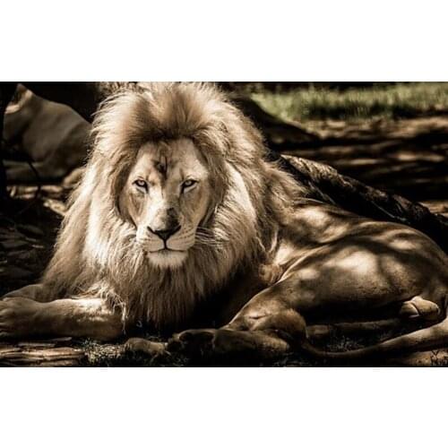 SNA DIY Diamond Painting Cross Stitch FULL Diamond Embroidery lion Pictures Home Decoration Hand Pasted