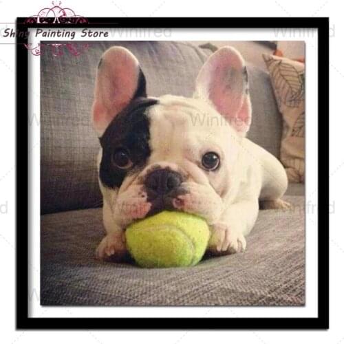 DIY 5D Diamond Painting French Bulldog Tennis Ball Photo Dog Animal Diamond Embroidery Cross Stitch Mosaic Home Decor Unframed