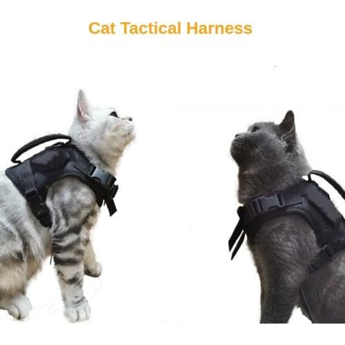 PETKIT Collars For Cats