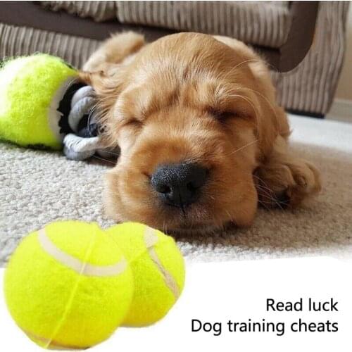 1/PCS Tennis Ball Dog Toys Chewing Rattle Scratch EVA Cat Toys Balls Cute ElasticInteractive Dog Supplies