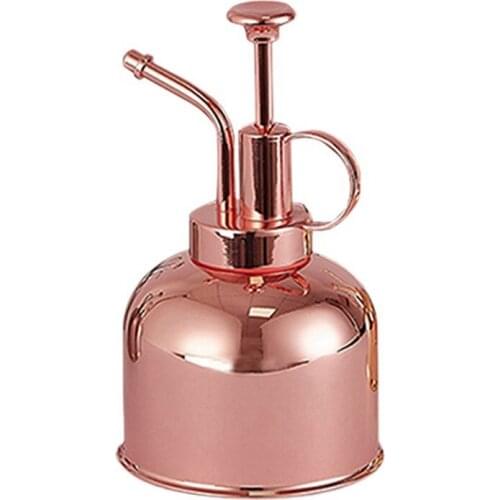 ABSF Plant Mister Spray Bottle Stainless Steel Plant Spritzer Watering Can With Top Pump For Indoor Succulents Orchids Garden