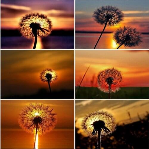 Evershine Diamond Painting Dandelion Full Square Mosaic Art Sunset Diamond Embroidery Landscape Picture Of Rhinestone Home Decor