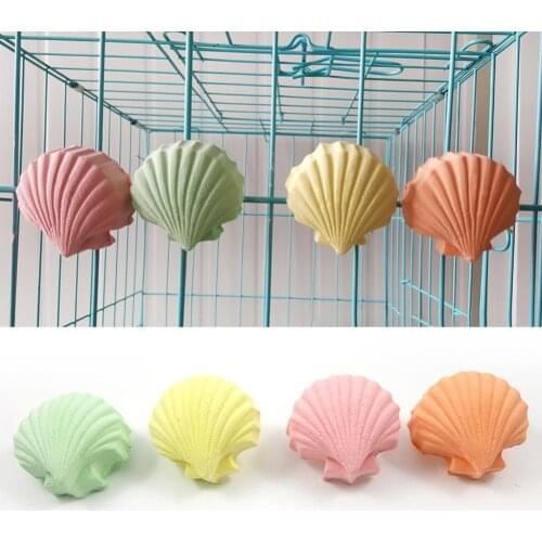 Shell Shape Squirrel Hamster Teeth Mouth Grinding Stone Parrot Cage Toy