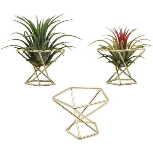 3 Pcs Geometric Air Plant Holder Airplants Rack Metal Plants Stand Planter Shelves Himmeli Decor Tillandsia Containers Retail