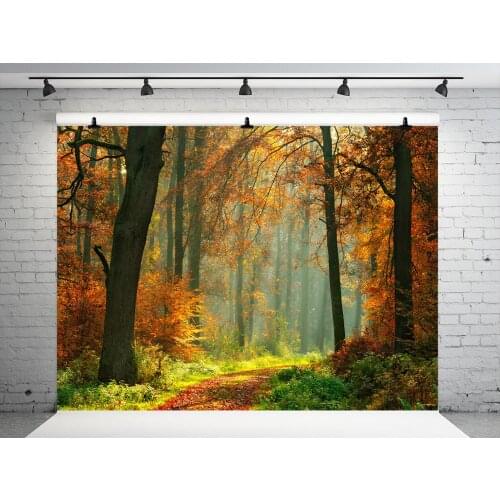 VinylBDS 250x250cm Autumn Nuture Background Photography Fallen Leaves Back Drops For Photography Romantic Wedding Photo