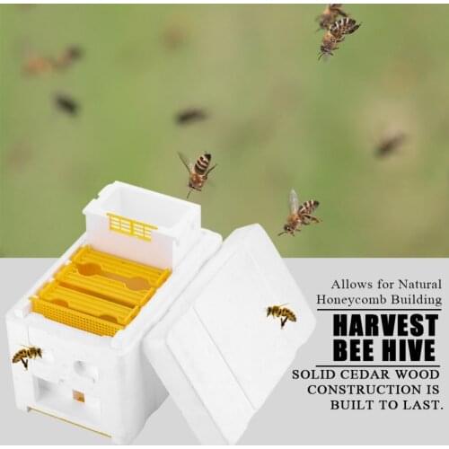 Double Layer More Closed Equipment Queen Bee Mating Box Suitable For Bee Mating Copulation Queen Reserve Beekeeping Tool