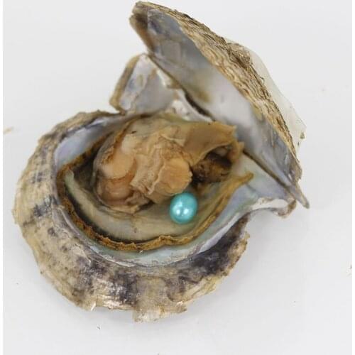 20PCS Colored Rice Freshwater Pearls 7-8MM Dyed Color Oval Pearls in Akoya Oyster Wholesale 18 Colors FP236