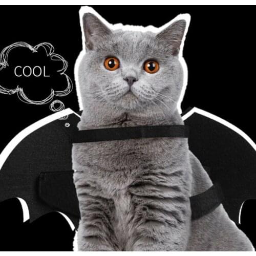 Halloween Pet Dog Costumes Clothing Luminous Bat Wings Pet Gift Black Cute Funny Spider Dress Up Pet Accessories